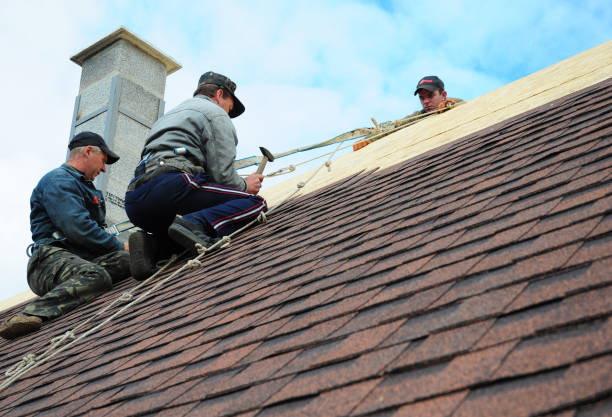 Quick and Trustworthy Emergency Roof Repair Services in Pierson, FL